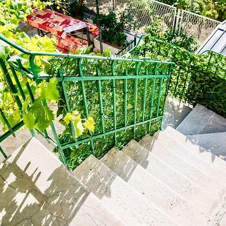Luxury Villa Minerva Gardens 스플리트 외부 사진